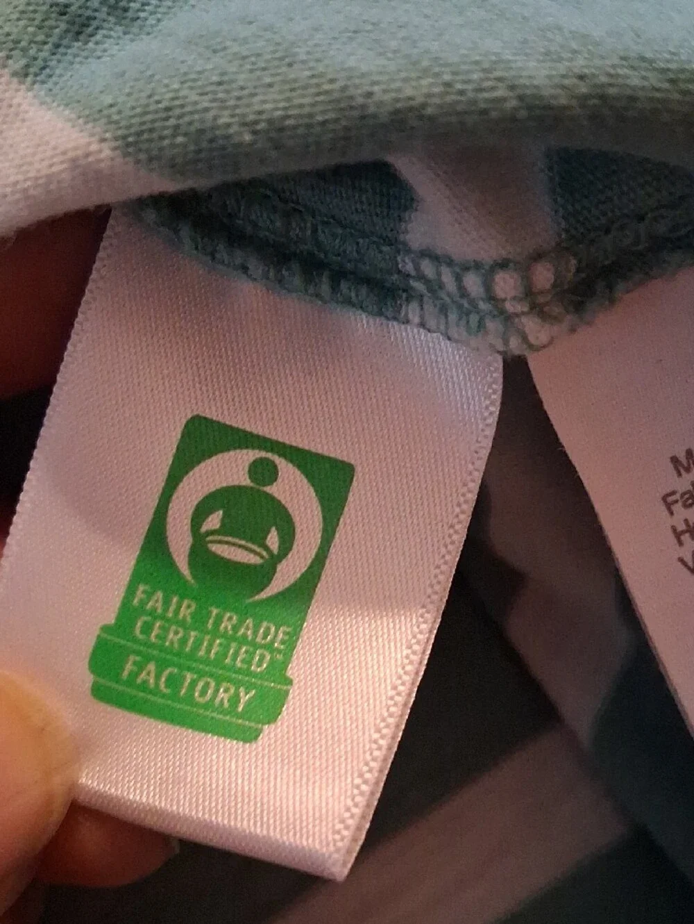 J. Crew Mint Green & White Striped Long-Sleeve Crewneck